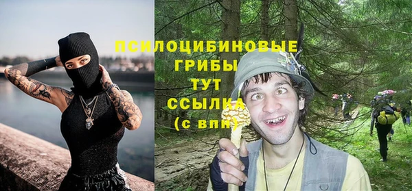 соль ск Надым