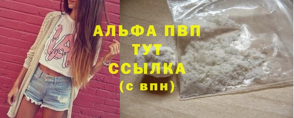 соль ск Надым