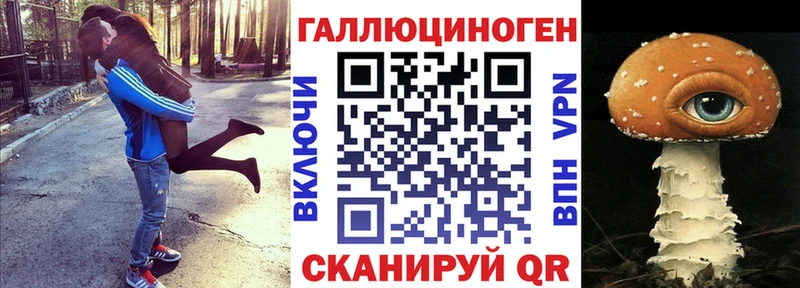 Купить закладки  Кизляр  Галлюциногенные грибы Cubensis 